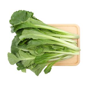 【小汤山】有机小白菜 约250g 有机蔬菜当天采摘北京农场顺丰到家