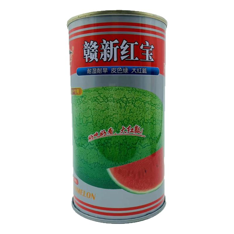 赣新红宝西瓜种子中熟绿皮红瓤长椭圆形大瓜耐裂大果西瓜种籽高产