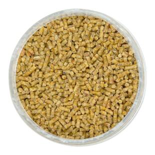 全阶段优质营养蛋小米断奶繁殖鸟粮鹦鹉牡丹玄凤虎皮饲料棕榈油食