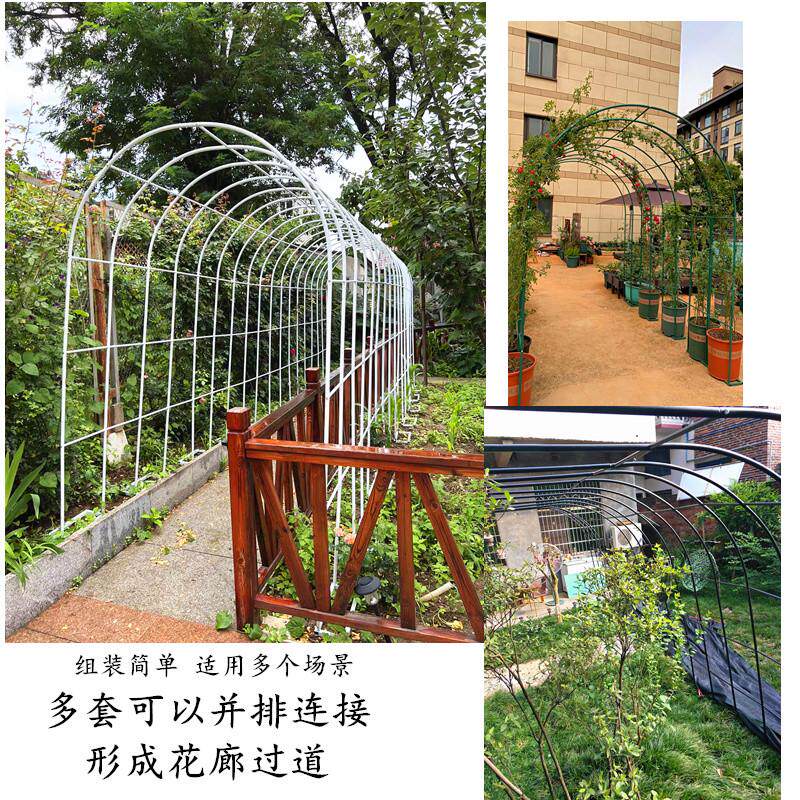 铁艺拱门花架爬藤架葡萄架花园月季攀爬花支架户外植物架子菜棚架