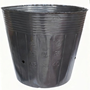 生姜桶育苗杯一次性黑色塑料营养钵种植袋基质袋育苗桶生姜种植桶