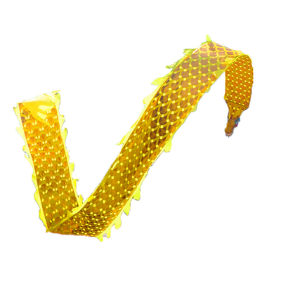 舞龙彩带健身道具表演