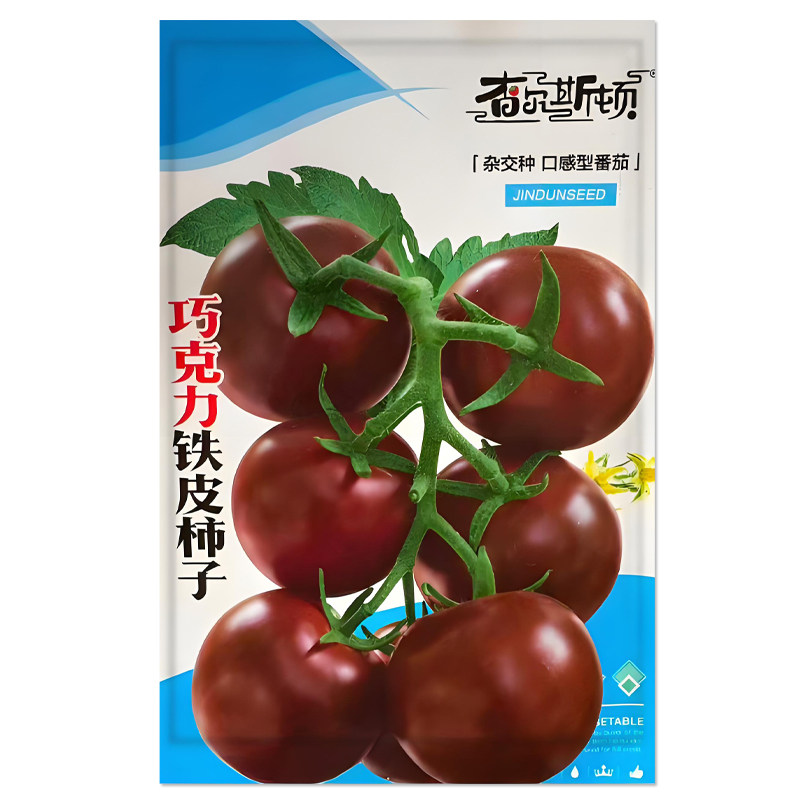 巧克力铁皮柿子番茄种子