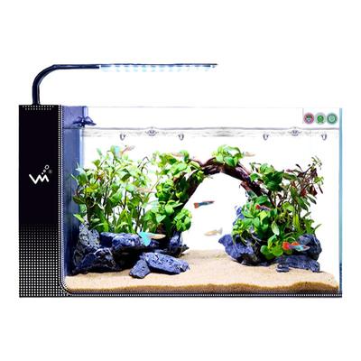 鱼缸懒人真水草植物免护理易养活