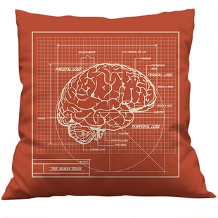 大脑结构图简约抱枕被子两用定制医学生周边学习办公靠垫午睡枕头