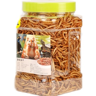 仓鼠粮食面包虫干金丝熊黄粉虫干小零食用品仓鼠营养主粮饲料食物