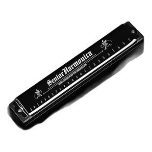 高档进口音簧24孔复音口琴正品殿堂高端成人重音准专业演奏级送礼