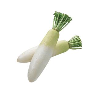 九斤王甜白萝卜沙窝青水果萝卜种子大全白皮秋季种籽农家蔬菜种孑