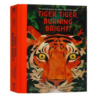 2020年水石图书奖老虎老虎燃烧的光明进口英文原版 Tiger Tiger Burning Bright 精装儿童动物诗歌 精美插图书籍Britta Teckentrup