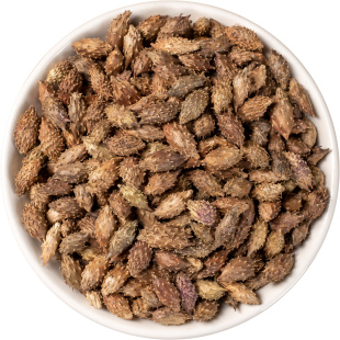 野生苍耳子中药材500/250/100g老籽炒熟仓耳子去刺正品外用苍耳子