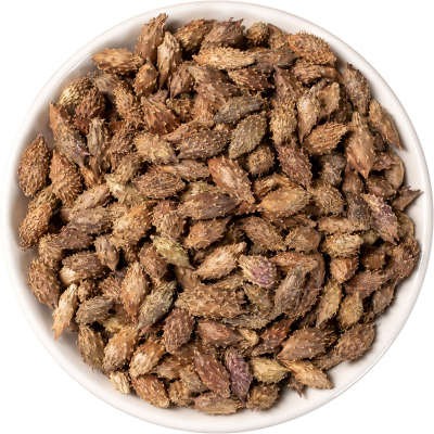 精选苍耳子中药材正品新货