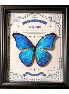 大蓝闪蝶真蝴蝶标本相框成品桌面玄关摆件挂装家居装饰画创意礼物