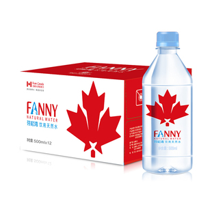 芬尼湾(FANNYBAY)加拿大饮用水500ML*12瓶偏硅酸饮用水低氘低钠