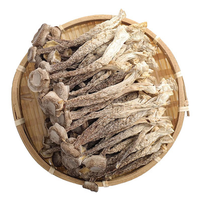 特级鹿茸菇干货优质无硫鹿茸蘑菇