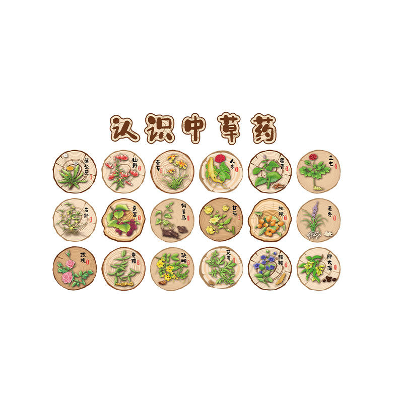 中草药材标本展示墙幼儿园环创中医馆教室氛围布置贴纸文化彩挂图