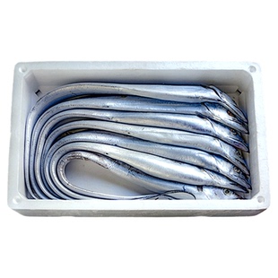 刘清海鲜 大连特产海捕渤海湾刀鱼 冷冻带鱼10斤7条 水产高端礼品