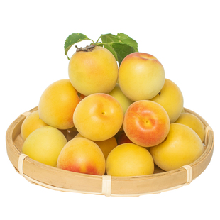 【黄梅】青梅鲜果诏安黄梅现摘泡酒野生黄梅酸梅鲜梅子5斤酸水果