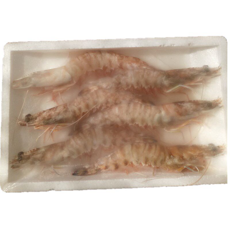 包邮东海大明虾 越南黑虎虾 草虾新鲜海鲜大虾每盒