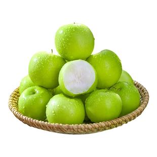 云南西双版纳苹果枣当季特产水果牛奶大青枣新鲜现摘冬正宗脆枣