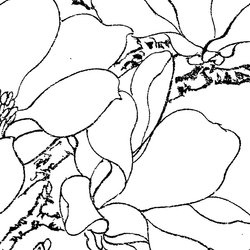 初学者工笔画团扇白描底稿24幅国画花鸟宫扇临摹线稿图样打印底稿