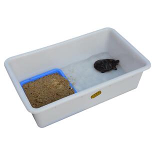 乌龟缸塑料周转箱大号白盆带晒台专用养龟箱巴西龟别墅小号水族箱