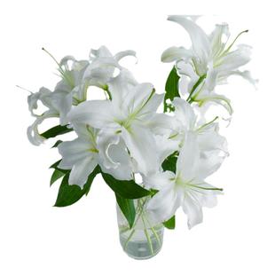 云南鲜花基地直发香水百合鲜切花真花向日葵玫瑰混搭花束重瓣百合