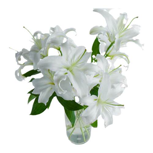 云南鲜花基地直发香水百合鲜切花真花向日葵玫瑰混搭花束重瓣百合