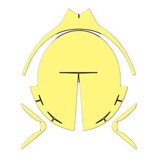 适用奥古斯塔Dragster800大灯膜尾灯熏黑保护贴后视镜防雨膜改装