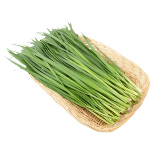 独根红韭菜种子韭菜籽韭菜种籽紫根红根宽叶大叶耐热耐寒高产