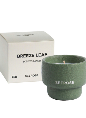 SEEROSE多彩陶瓷杯香薰蜡烛