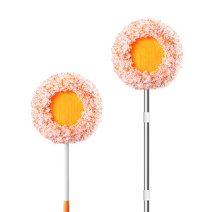 太阳花伸缩拖把打扫天花板清洁神器擦墙扫灰除霉加长杆向日葵掸子