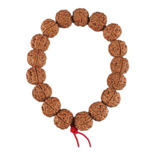 纯野高密铁骨年度顶货级别19mm帝王花小金刚手串菩提子