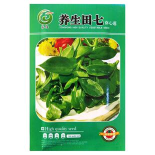 养生田七菜种子养心菜救心菜种子高钙蔬菜野菜种籽四季春秋蔬菜