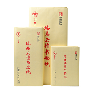 宣纸半生熟书法专用纸毛笔字书画练习纸文房四宝工初学者练字笔画国画美术专用加厚生宣纸四尺对开三开作品纸