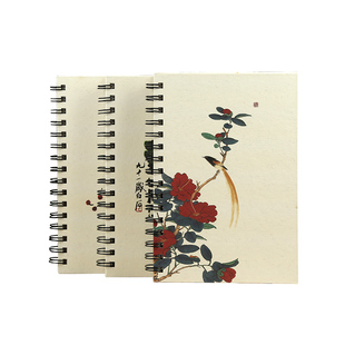 金谷文具 精灵传说盒装本子 礼品日记本 彩色记事本子1060