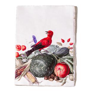 法国手工羊皮纸笔记本手账日记本复古高颜值创意礼物礼盒鸟类系列