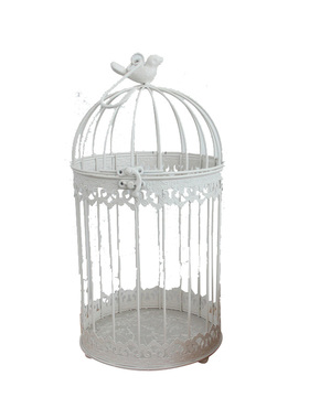 小鸟米色铁笼烤漆婚庆装饰多肉