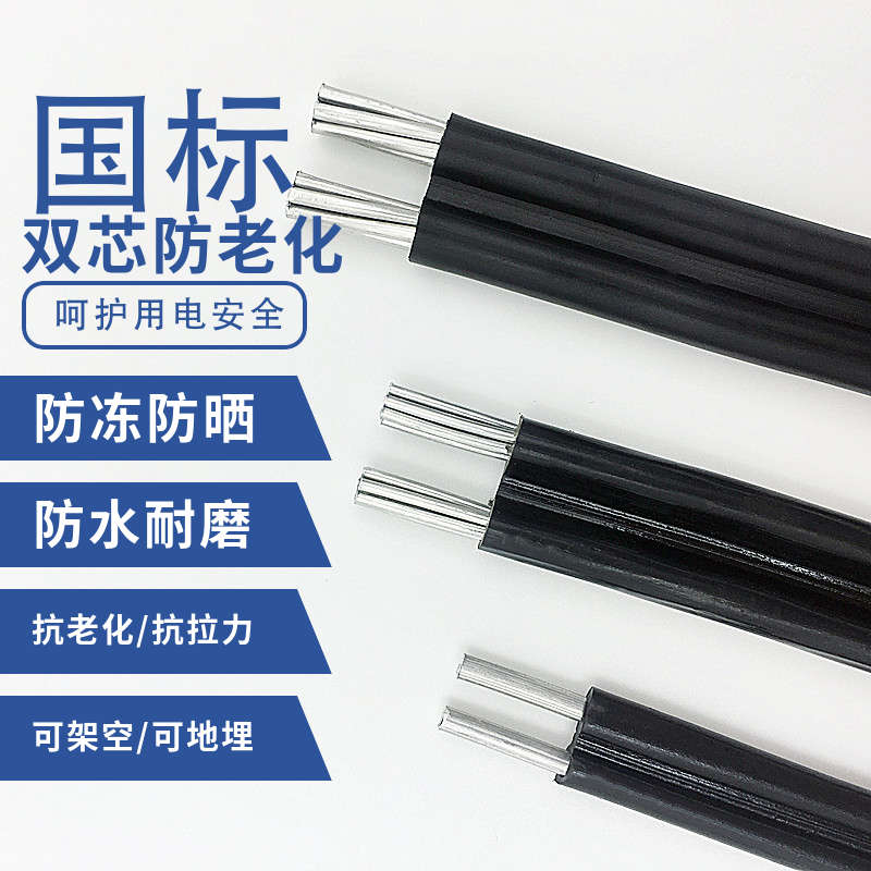 国标2芯户外铝线电线护套线4/6/10/16平方防老化电缆线家用电源线