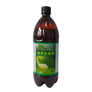 益富源催芽生根剂药材营养液辣椒催芽块茎发芽浸种泡种育苗营养液