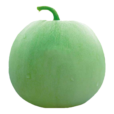 鼎牌玉奶香2号甜瓜种籽高产籽种