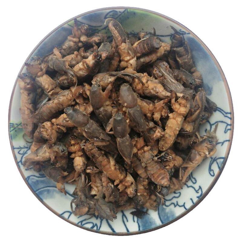 中药材蝼蛄蝼蛄干土狗250g磨粉请留言 蝼蛄粉