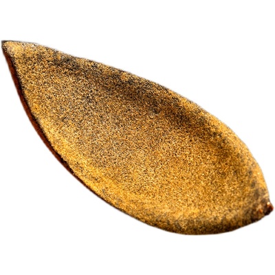 橘宗堂常年肺咽喉多咳多痰好伴侣