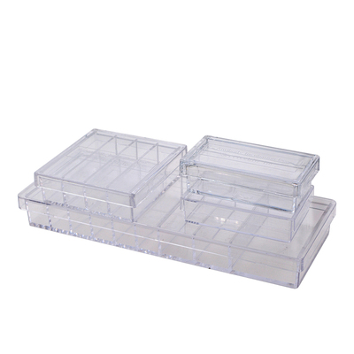 赛维尔生物WB抗体孵育盒