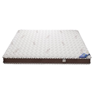 天然椰棕床垫加硬垫卧室家用成人儿童环保无胶3E可定制榻榻米垫子