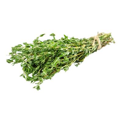 百里香新鲜泰国香料菜新鲜百里香西餐煎牛排佐料调味调料250g
