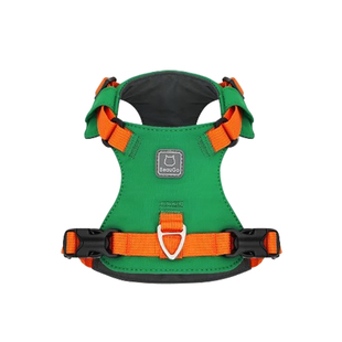 Beaugo猫咪胸背伸缩牵引绳溜小猫出行防挣脱可调节工字型幼猫胸背