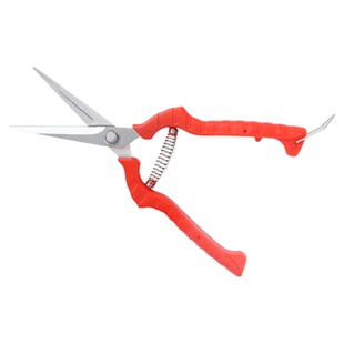 葡萄剪花椒采摘剪刀采果剪子弹簧修枝蔬果园艺疏摘果小剪树枝稀果