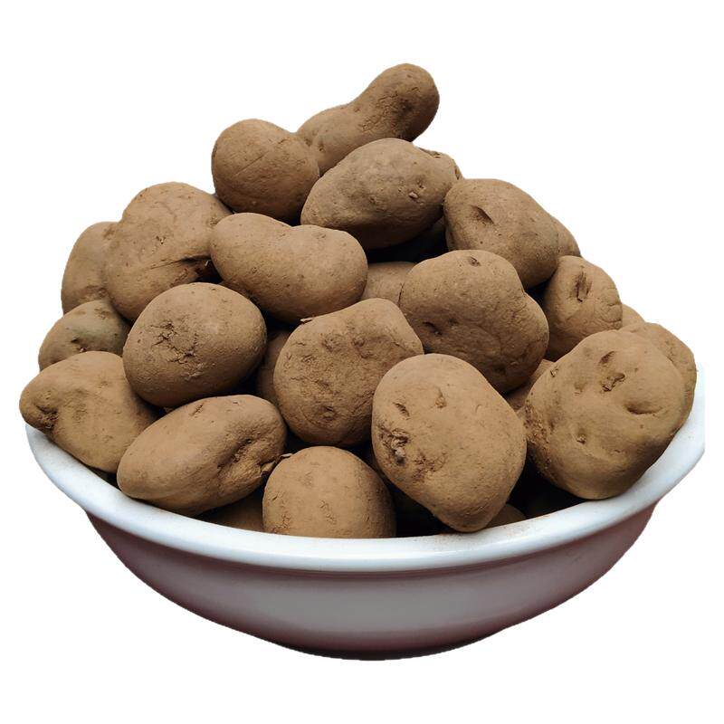 黄皮黄心土豆非转基因高产种子