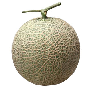 哈密瓜种子瓜种大全香瓜甜瓜西瓜新疆哈蜜瓜瓜果蔬菜种籽孑苗南方