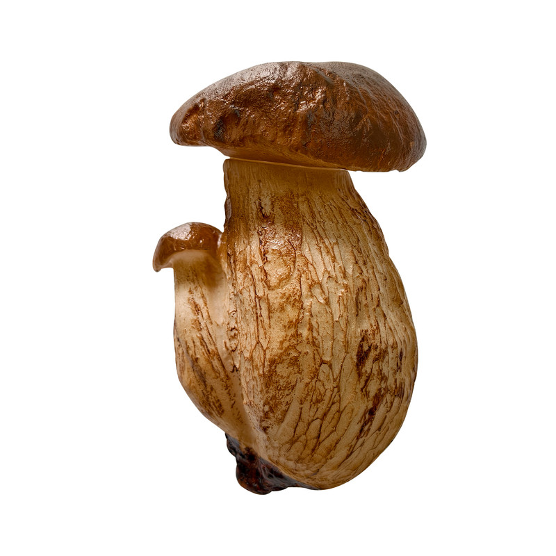 仿真野生蘑菇微景观摆件